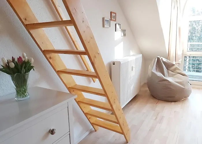 Tova Cologne פרכן