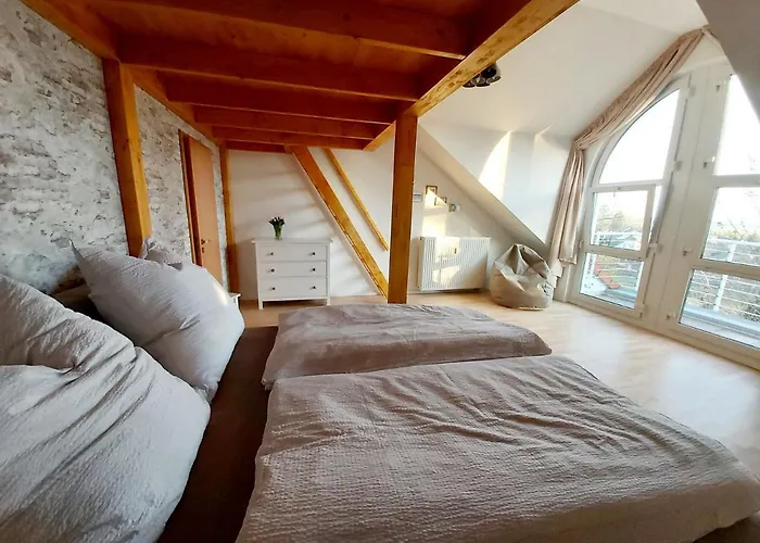 Tova Cologne * 弗雷兴